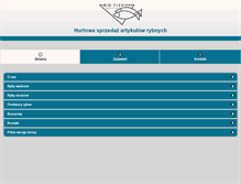 Tablet Screenshot of bigfish.com.pl
